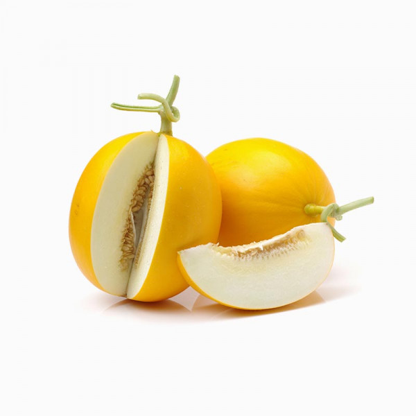 여름에 즐기는 신선한 메론 – 과즙 가득! | 겟몰 쇼핑몰솔루션 디자인 파이브3