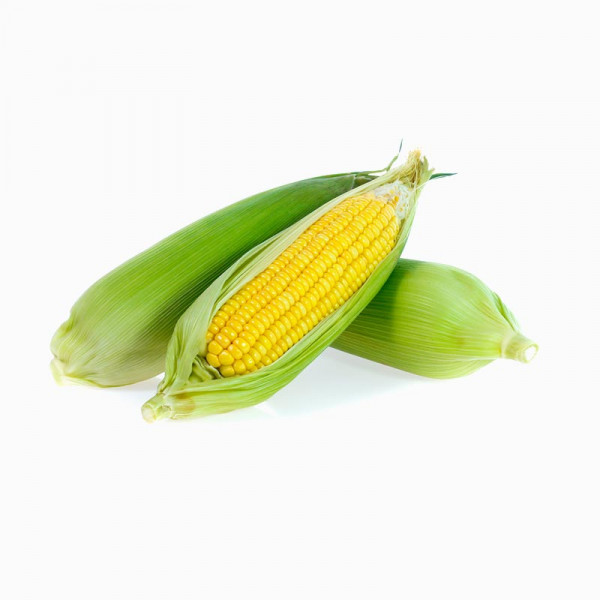 달콤 아삭한 국내산 초당옥수수 | 겟몰 쇼핑몰솔루션 디자인 파이브3