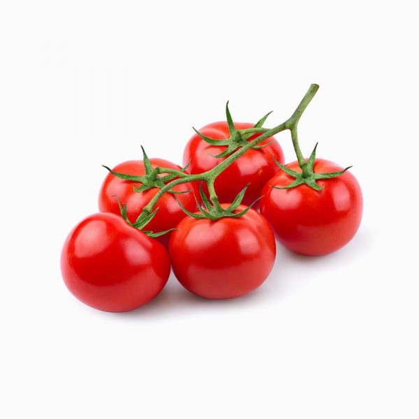 싱싱한 국내산 토마토 1kg – 아삭달콤! | 겟몰 쇼핑몰솔루션 디자인 파이브3