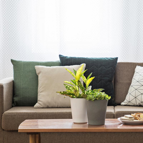 조용한 짝, 도자기 화분 세트 | 겟몰 쇼핑몰솔루션 디자인 파이브3